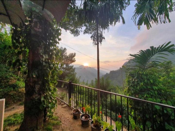 V@Ella Guesthouse Ngoại thất bức ảnh